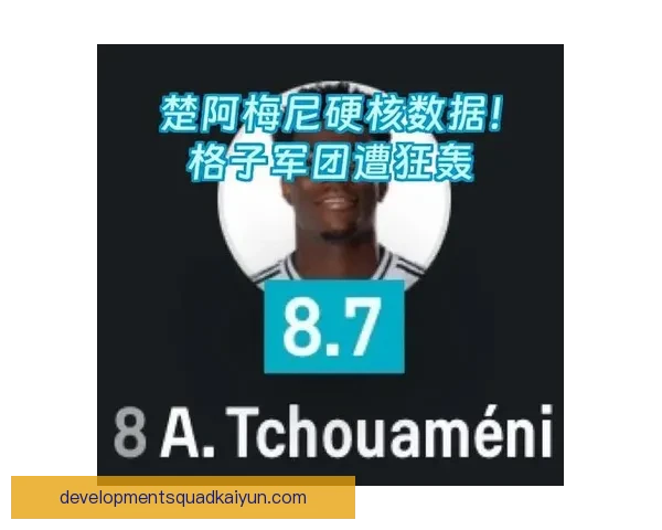 楚阿梅尼职业生涯亮点分析及其未来发展趋势